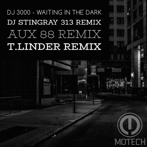 DJ 3000 - Waiting in the Dark [MTL004]